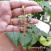 Tree Hanging