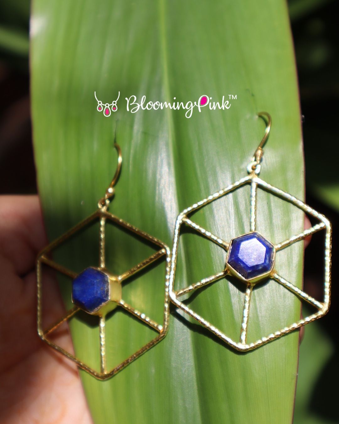 Hexa Blue Hoops
