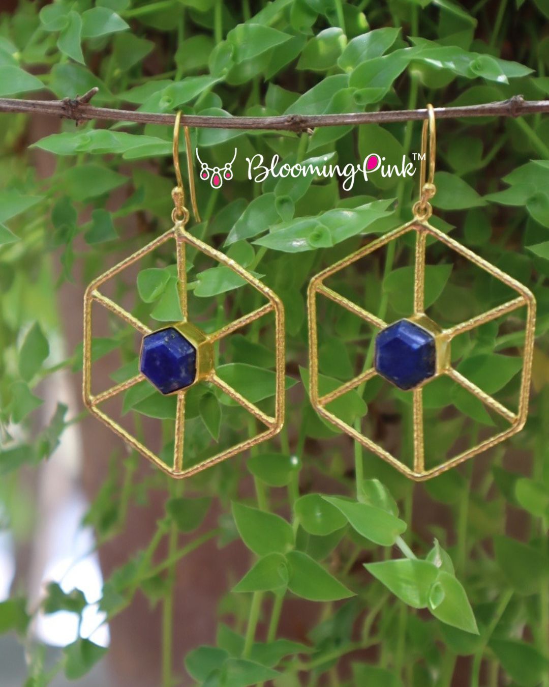 Hexa Blue Hoops