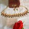 Haritha Palakka Coin choker