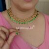 Tushti Green Round Palakka